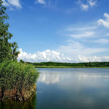 3 Bedroom Lovely In 펜션